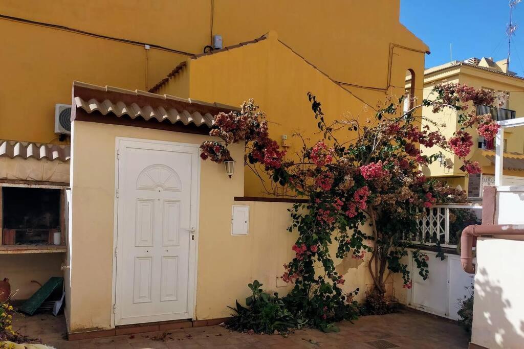 Mar Azul Adosado, Patio Y Solarium Apartamento Torrevieja Exterior foto